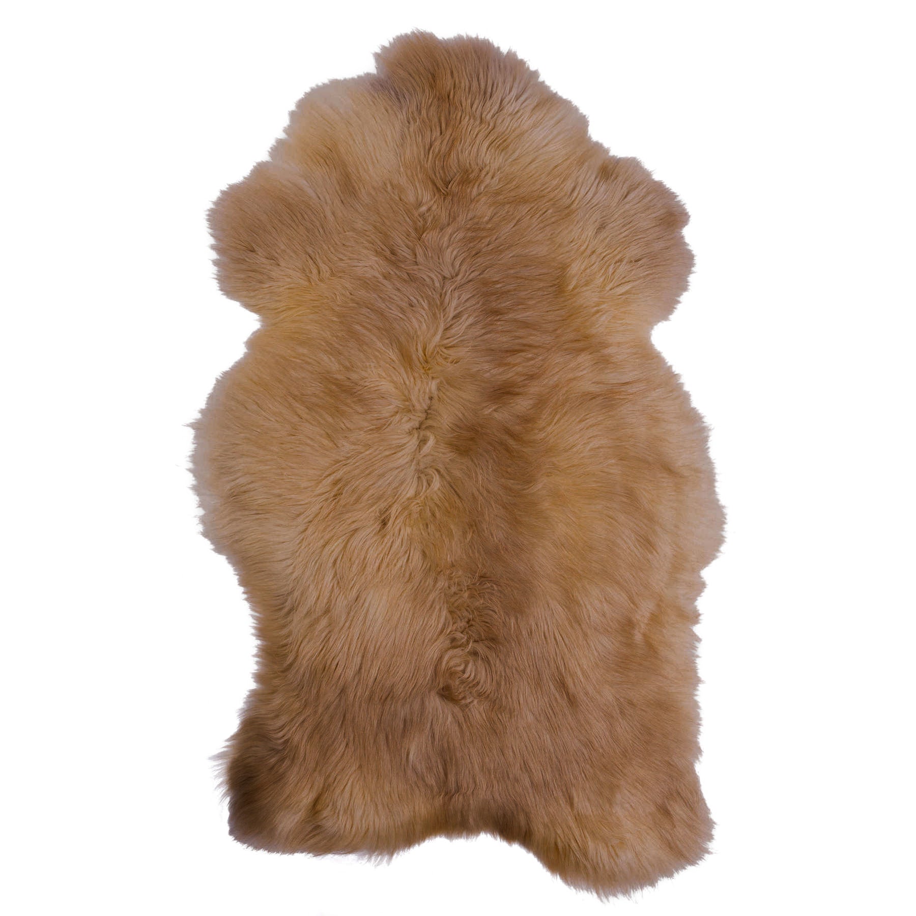 Agnello Pecora Coburg Fox