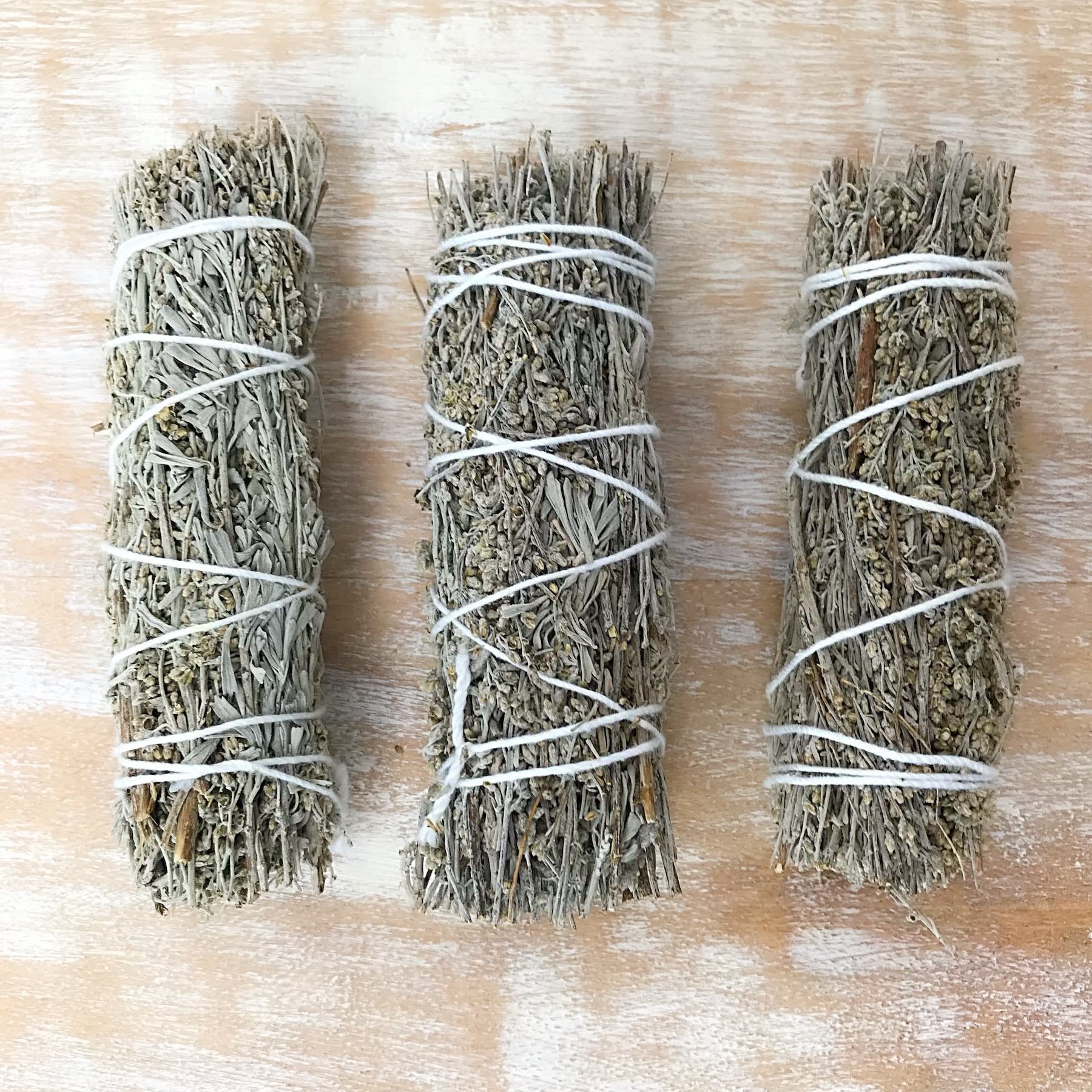 Salvia blu - Salvia del Monte Shasta