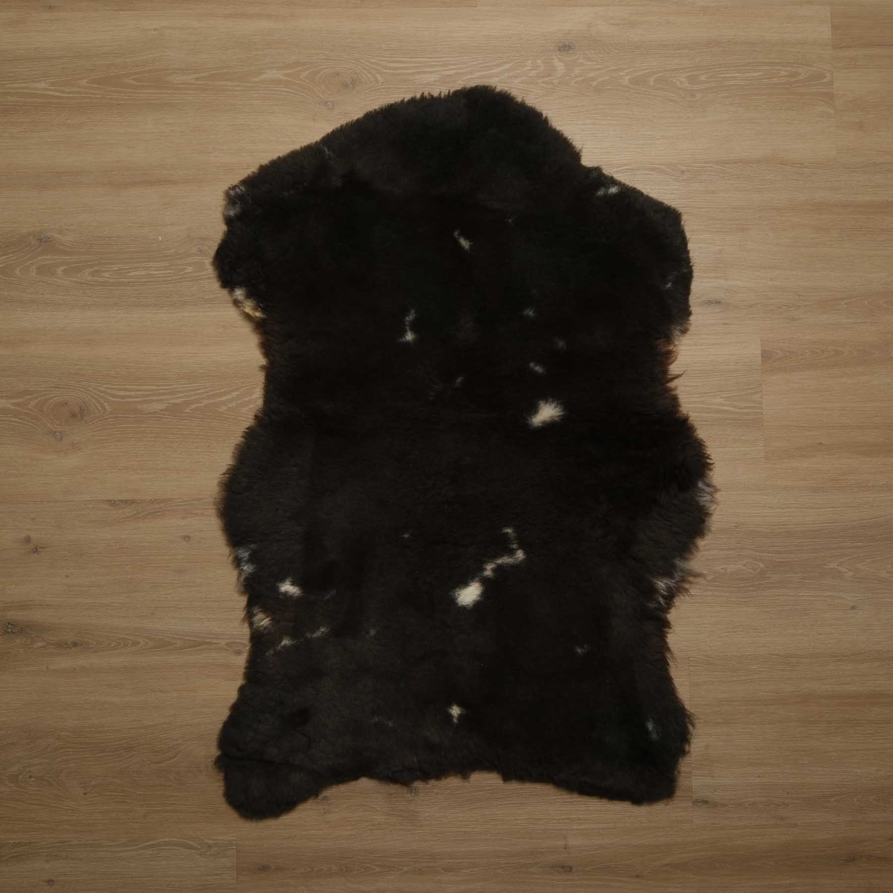 Agnello Merino pezzo unico n. 8